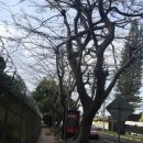 아르디엔이(주) 이미지