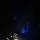 아이디씨 | 명지 러닝 코스 및 맨발 걷기 장소, 너울공원 울림 공원 주차정보까지