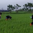 고양시농업기술센터 이미지