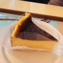 빗질해줄개 | 3월 : 뒤늦은 3월 일기