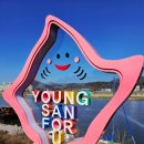 영산포홍어거리 이미지