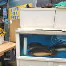 서일동4길 이미지