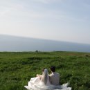 세인자연 | [제주 센터피스 스냅(세인작가님)-보정본 후기]