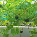 월성종합사회복지관 이미지