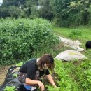 은척중학교 | 상주 시골언니 4기 후기