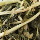 명품앤웰빙 이미지