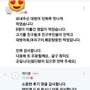 눈다랑어 참치 한마리 손질합니다 이미지