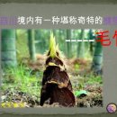 진남자원 이미지