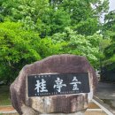 자인계정숲 이미지