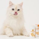 ㈜케어사이드 이미지