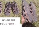 미니냉장고 차량용 중형배낭 등산샌달270 텐트 패딩 이미지