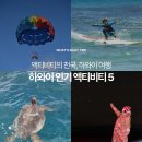 주식회사 그린코어 | 하와이 자유여행 준비한다면? 하와이 인기 액티비티 예약부터! (거북이 스노클링, 쿠알로아 랜치...