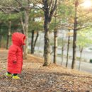 건강한 콩팥 유지하기 이미지