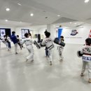 태인태권도 이미지