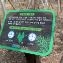 뚝섬한강공원-55 이미지