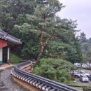 이디야남양주