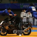 월드유도체육관 이미지