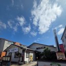 향토흑염소 | 제주 흑염소 제주공항 근처 해장국 안다미로늘봄흑염소 제주 맛집 추천