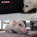 복남농장 이미지