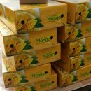 (주)골든하이 이미지