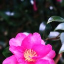 소더스111 이미지