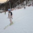 용인대명인태권도 이미지