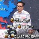 여름한조각