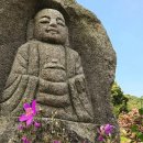 아무리 귀한 재물일지라도 /보석사 장곡 스님 이미지