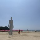 다대포해수욕장 | 아이와 다녀온 부산 다대포해수욕장 후기! 주차, 파라솔대여 정보