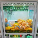 인형뽑기 이미지