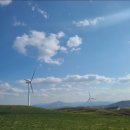 대진목장 이미지