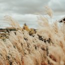 건강한길내과의원 이미지