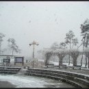 배산체육공원 테니스장 이미지