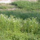 큰스님을 외호하시는 모든 분들 고맙습니다. 이미지