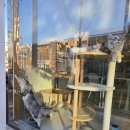 메인쿤 하우스 | 울산 건즈하우스카페 추운 겨울 아이와 가볼만한곳 파충류카페 체험