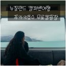 선한목자교회 | 테카포 선한목자교회 산책 &amp; 푸카키 호수 무료캠핑 후기