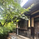 조정형외과의원 | 군산 여행 2일차 일정[신흥동 일본식 가옥, 마리서사, 추억 창고]