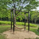 하니랜드수영장(실외) 이미지