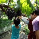 말바우 농장 이미지