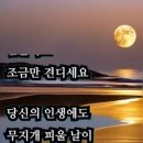삼일투어 Daum카페
