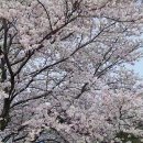 대저수문공원 이미지