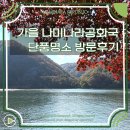바란다 | 가을 은행 나미나라공화국 단풍명소 남이섬 방문후기