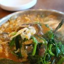 염소마당 이미지