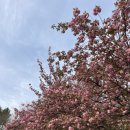 늘푸른주유소 화장실 이미지