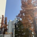 리온커피 | 마스카라연장 원한다면? 안양 속눈썹연장 리온뷰티 후기