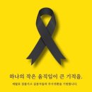 노란리본 캠페인 관련 일베의 병맛선동 주의(빨간리본 쓰지않기) 이미지