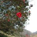 밀레 군산영동점 이미지