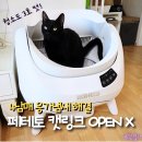 콩캣 | 고양이 자동화장실 냄새 고민 끝! 페테토 캣링크 OPEN X 오픈형 솔직 후기
