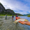 흐르는강물처럼 이미지