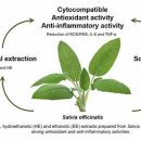 화평한의원 이미지